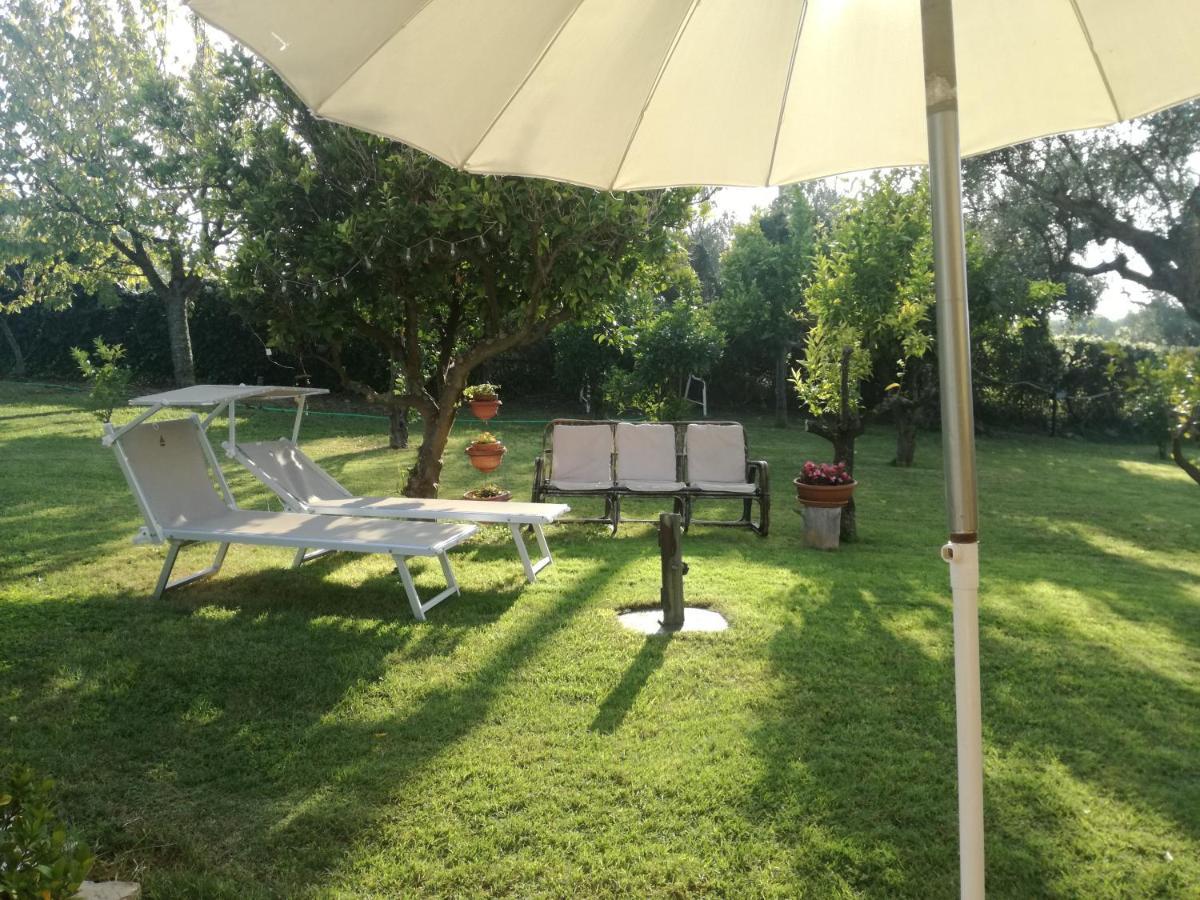 Ferienwohnung La Collina Del Riccio Ortona Exterior foto