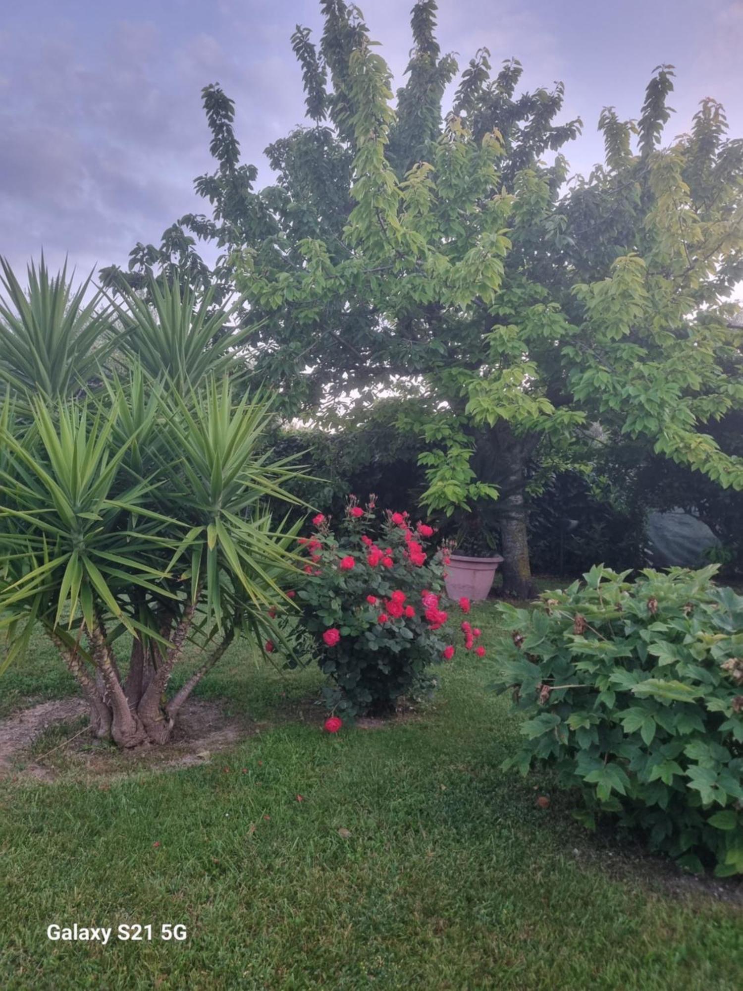 Ferienwohnung La Collina Del Riccio Ortona Exterior foto