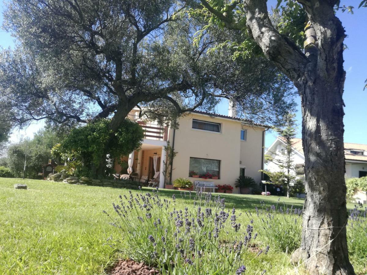 Ferienwohnung La Collina Del Riccio Ortona Exterior foto